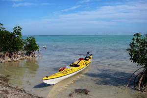 On Aspen Castaways students will travel through the beautiful Florida Keys in kayaks.    