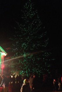 Crowds of people surround the Sardy House Tree as it is lit up for the first time this holiday season. 