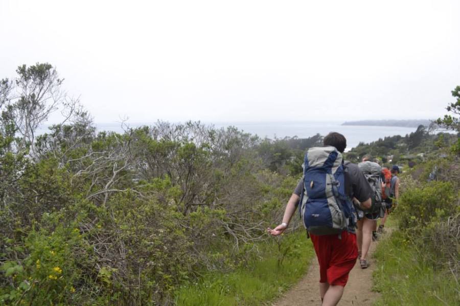Students+hike+through+the+woods+during+the+Backpacking+San+Francisco+Ex+Ed+course+