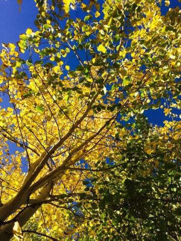 8 Things to Look Forward to This Fall