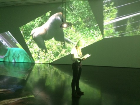 Junior Calli Ferguson stands in gorillagorillagorilla reading about Thater and the artwork. Behind her are several projections from the exhibit. 