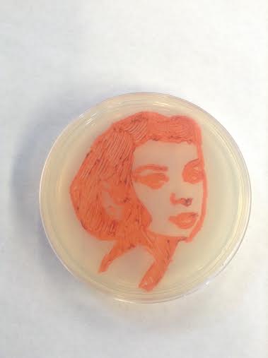Senior Kelli Callahan combined her passions of biology and art by creating a piece using bacteria titled Pop Culture.