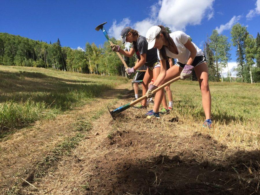Students working to widen the trail