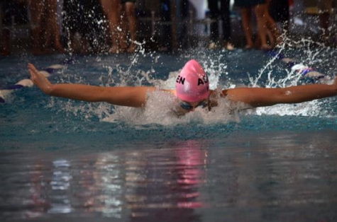 AHS student swims up to Harvard
