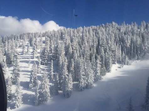 Snowfall Returns