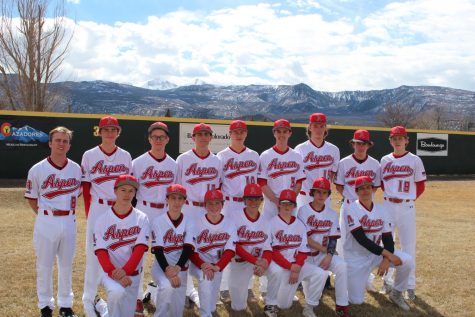 AHS Baseball Team Hits It Out of the Park