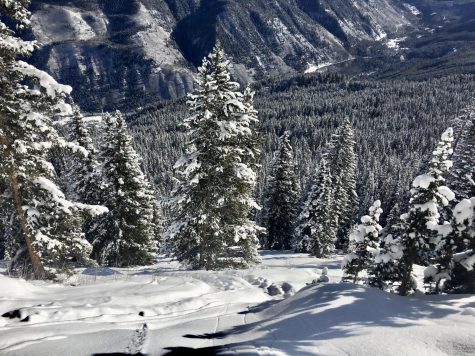 Ski CO terrain expansion into Pandora’s area on Aspen Mountain
