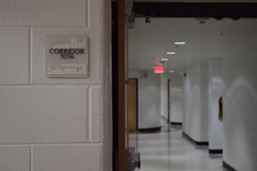 A sneaky freshman peers around the corner of their hidden corridor.