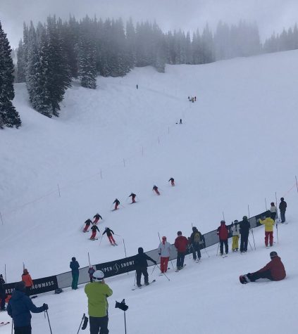 Synchro Skiing
