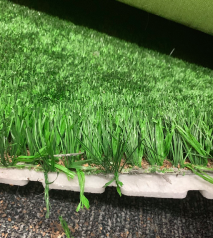 The Death of a Legendary Turf