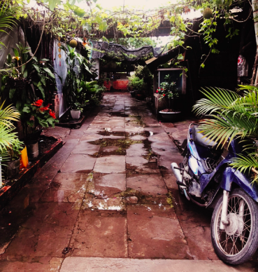 Rainy, hidden alleyway covered with lush vegetation in the streets of Ho Chi Minh City, Vietnam.