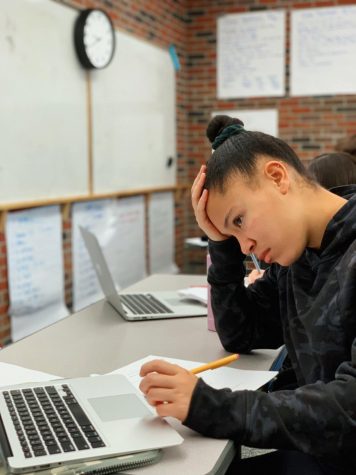Homework: The Demise of Students