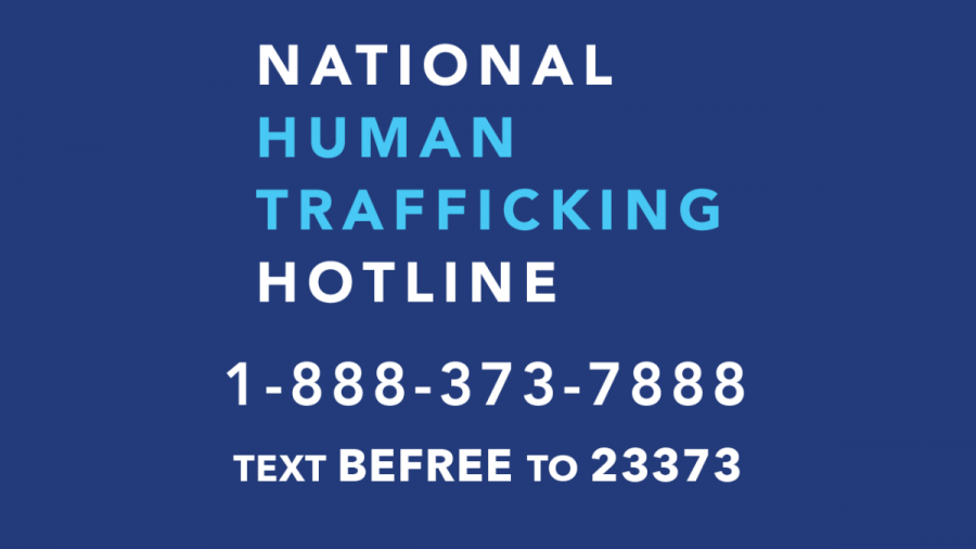 The National Human Trafficking Hotline phone number and text support.