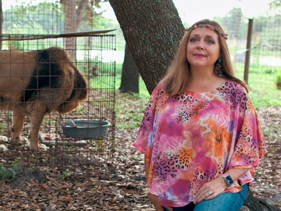 Carole Baskin and one of her caged tigers.