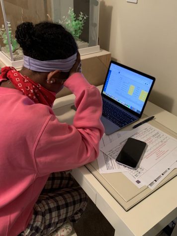 Tigist Peshek, an AHS Junior struggles with after school work online.