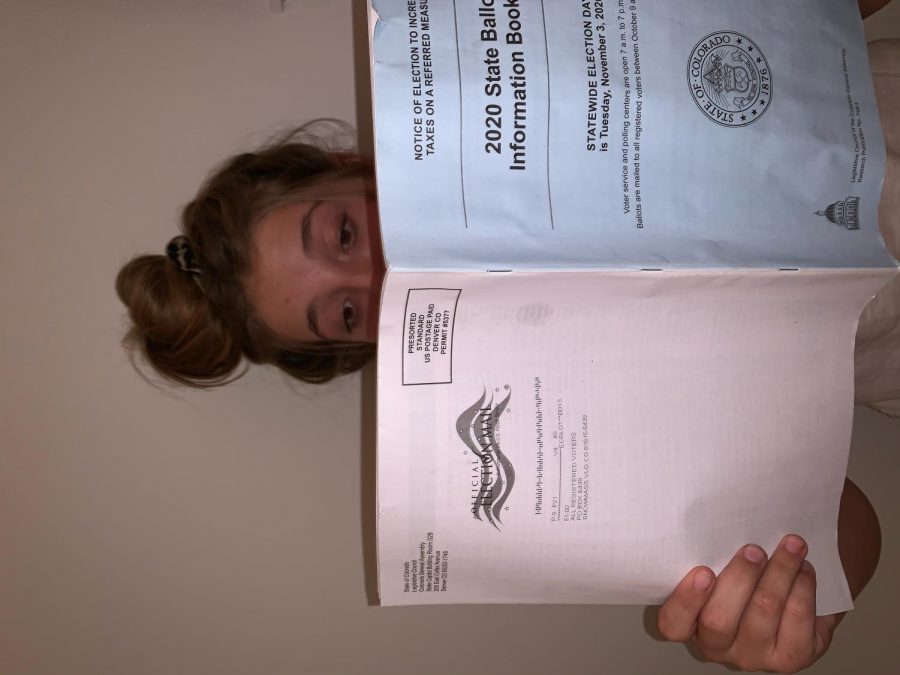 Young voters in Colorado can utilize things like the Blue Book or pitkinvotes.com to learn about ballot measures and general election information.