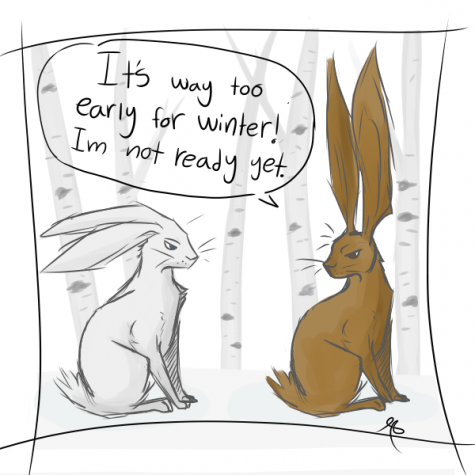 Rabbits get ready for the change of seasons