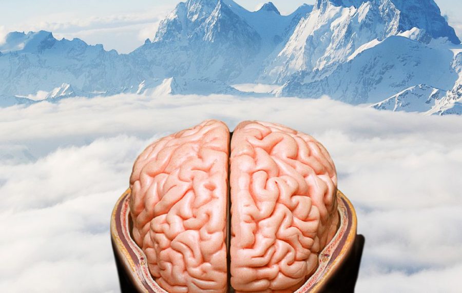 Image of brain and altitude from The Salt Lake Tribune article, University of Utah research shows high altitude linked to depression and suicidal thoughts