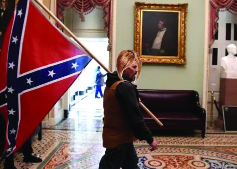 Redhead insurrection at the Capitol