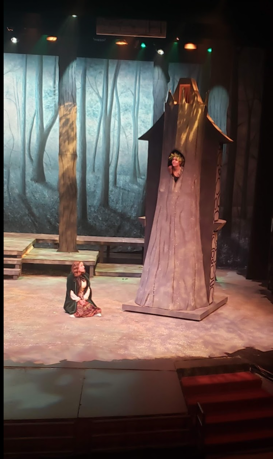 Jessica Vesey as the tree and  Adriana Cipponeri as Cinderella, performing Into The Woods.