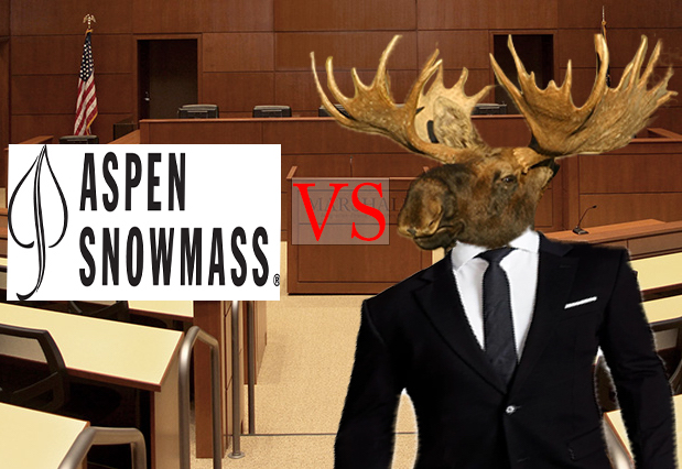 SkiCo+and+Moose+battling+it+out+in+the+court