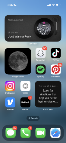 A screenshot of a home screen showing the most commonly used social media apps.