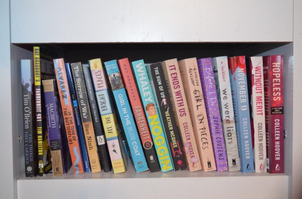 A multitude of books sit on a shelf.