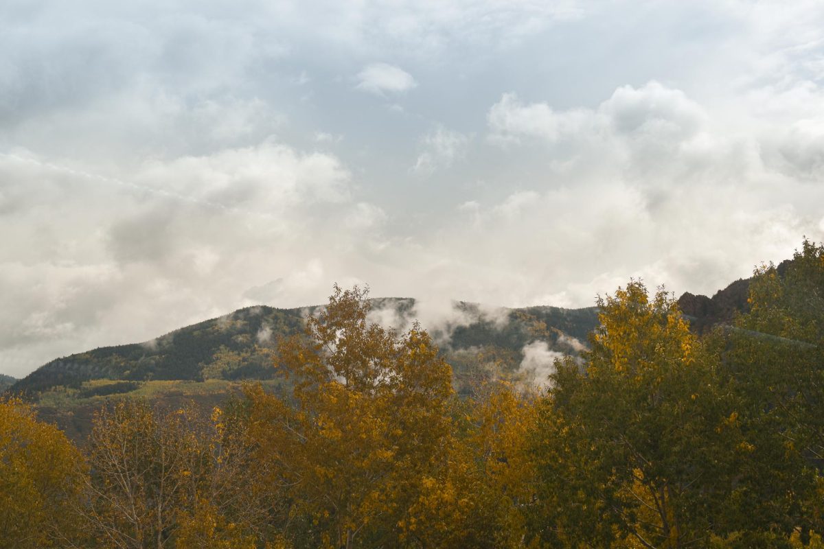 A grove of yellowing Aspens sit before a backdrop, it’s a misty overcast day. The perfect weather for a fall movie.