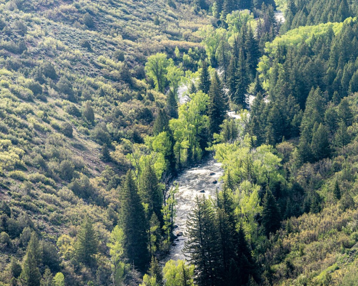 The Roaring Fork River as seen with EcoFlight on Saturday, May 28, 2022. | Austin Colbert/The Aspen Times