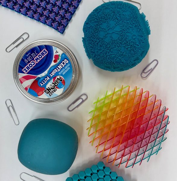 A collection of fidgets displayed on a white table. All fidgets seen are collected from the bags of
AHS students.