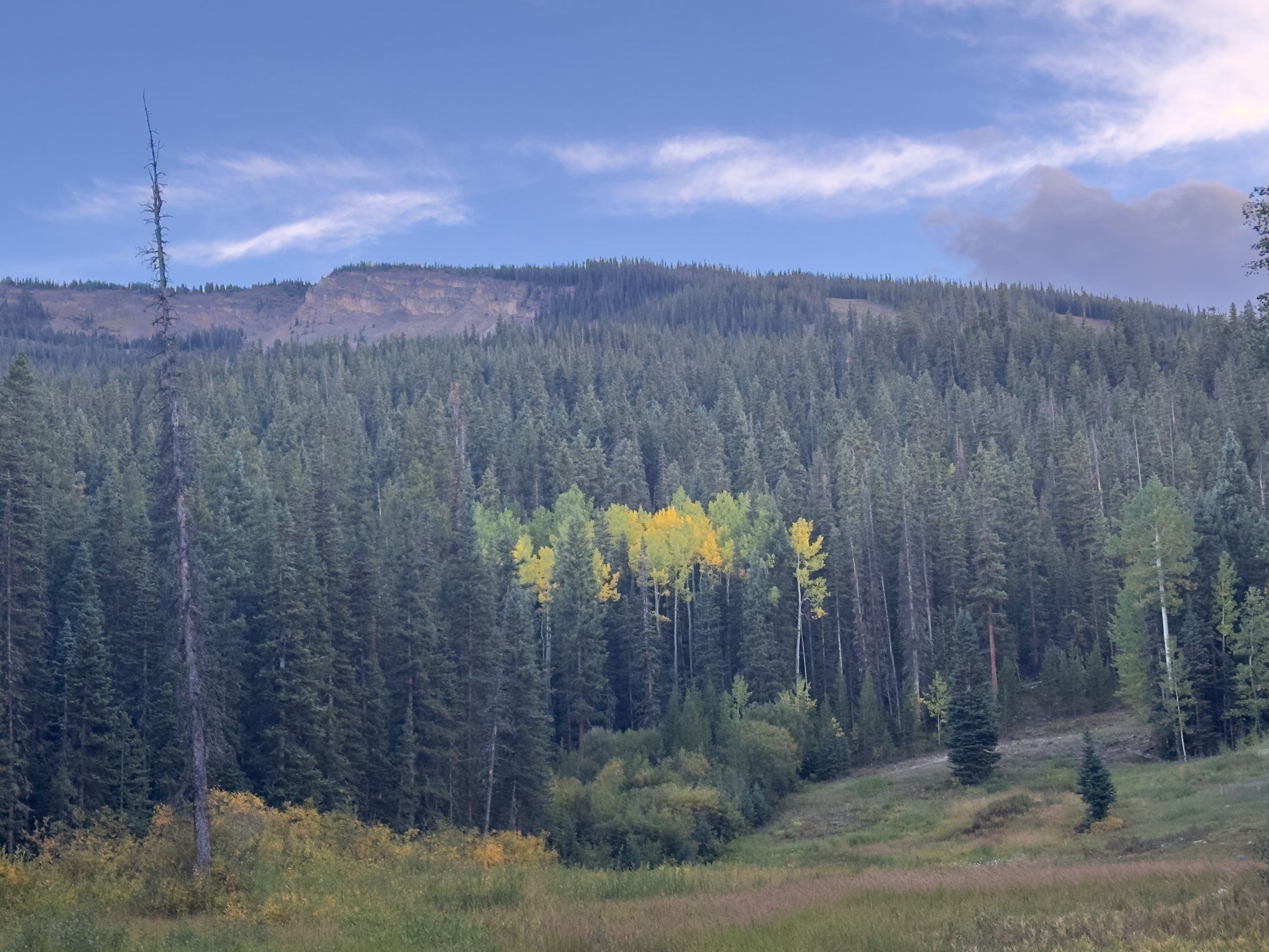 The leaves begin to change on Snowmass Mountain. The ski area is located in the White River National Forest.