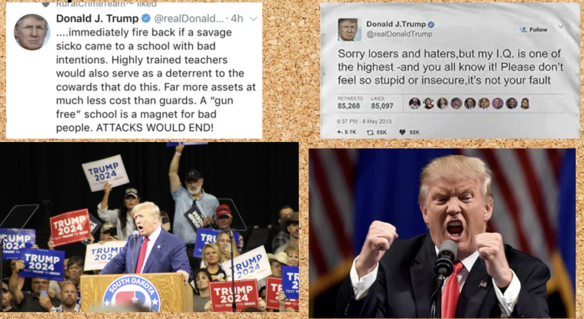 The collage shows Trumps flagged and controversial tweets along with his strong character, and loyal followers during his rallies and campaigns.