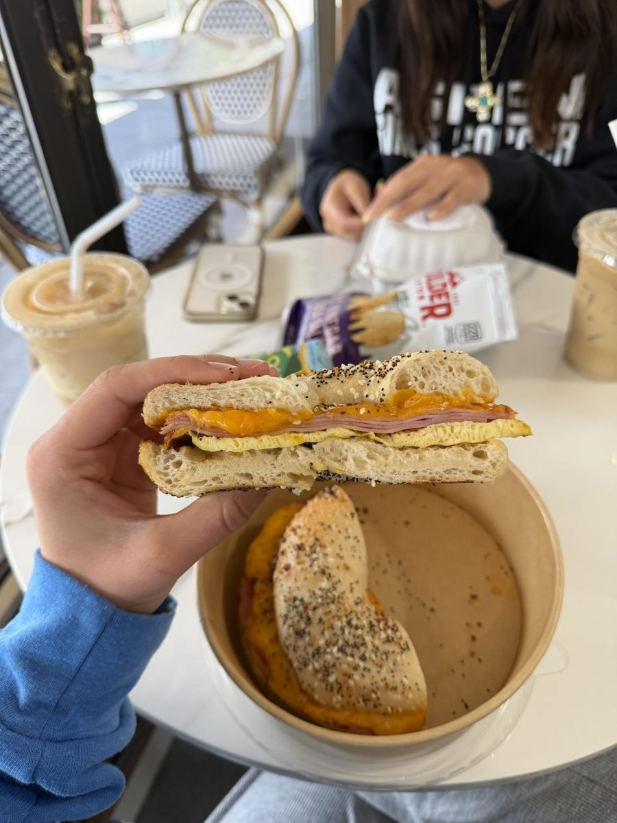 A ham, cheese, and egg sandwich on an everything bagel from Silvers. 