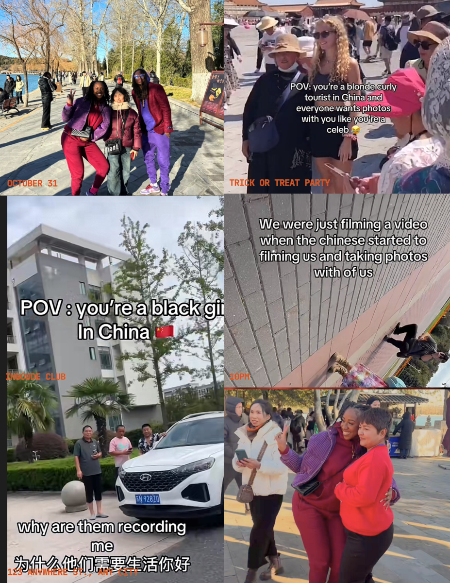 Tourists are seen recording their encounters, some are positive while others are not.